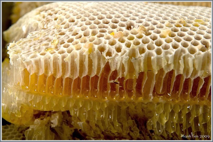 Tìm hiểu về tác dụng của sáp ong