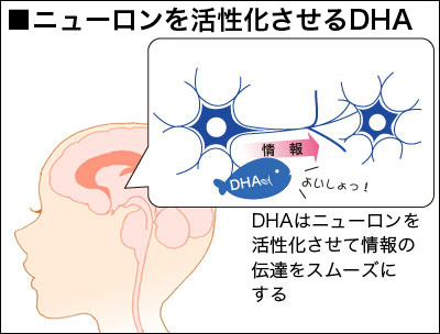 Vai trò của DHA đối với cơ thể